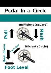 Pedal in a circle