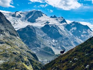 The Mountains of Europe